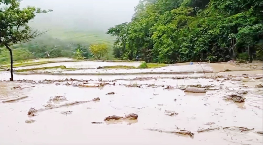 A partial view of the destroyed terraced paddy fields at Zhavame village under Phek district.